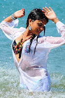 Varsha, hot, cleavage, show, bikini