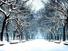 great scenery in winter (December)