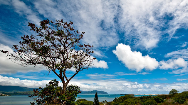 Viewpoint Keaalu Kanehoe 