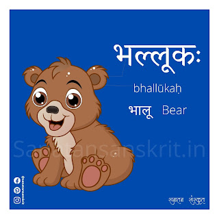 Bear (भालू) in Sanskrit
