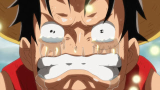 ゴーイングメリー号 別れ ONE PIECE Episode of Merry