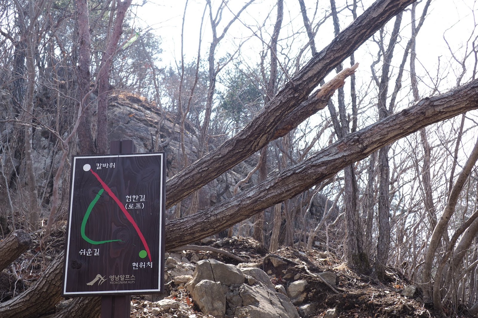 간월재 肝月嶺 신불산 神佛山 영남알프스 嶺南阿爾卑斯