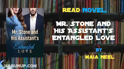 Mr. Stone and His Assistant's Entangled Love Novel