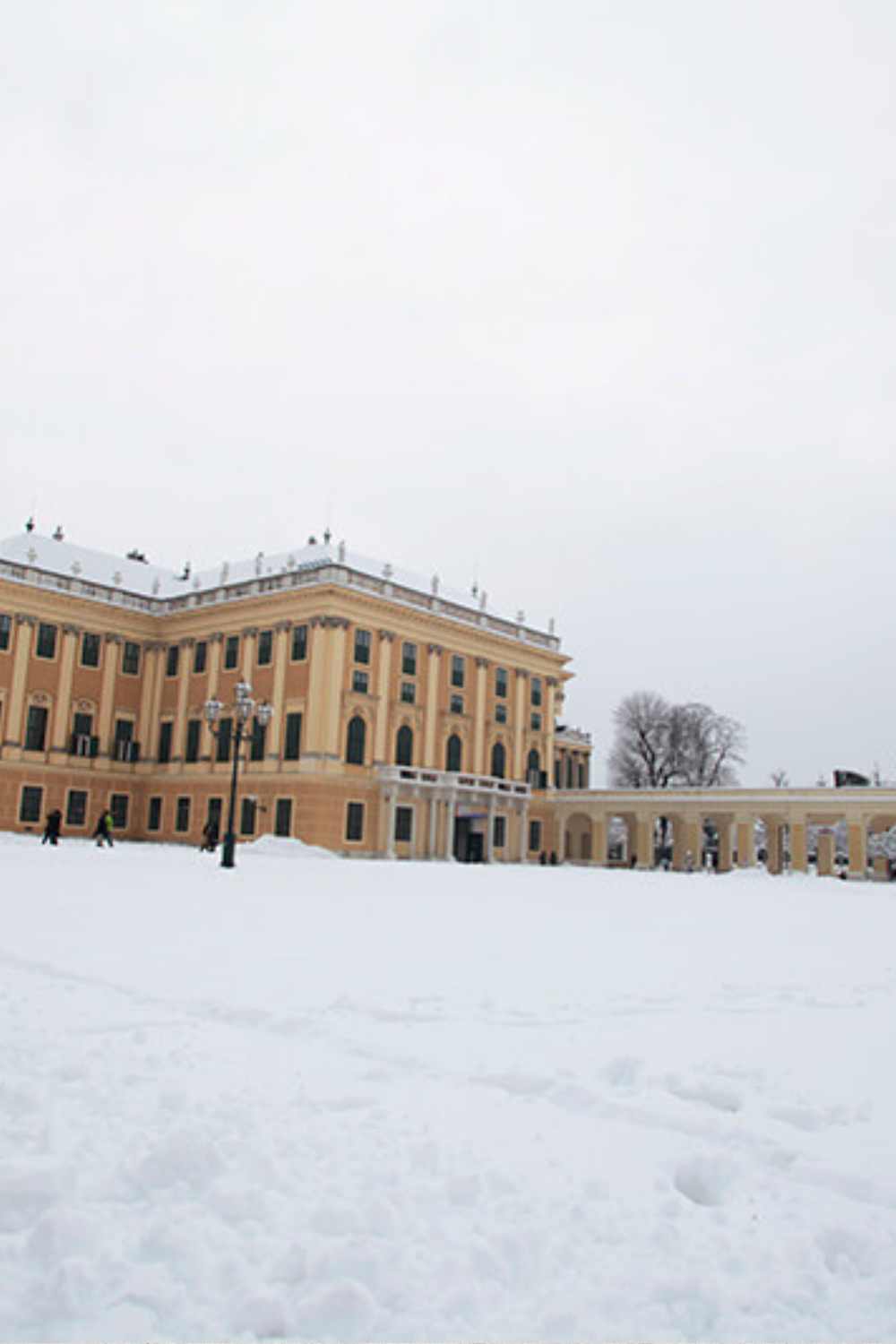 Schönbrunn Palace Grounds in Winter