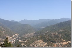 IMG_5475