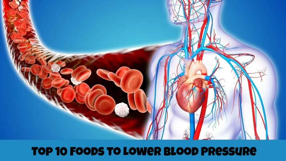 Top 10 Foods to Lower Blood Pressure and Enhance Circulation