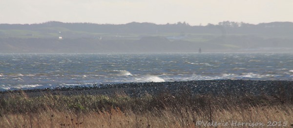 5-Loch-Ryan