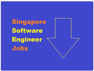 Singapore Software Engineer Jobs logo