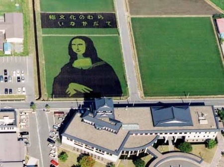 rice-paddy-art (8)