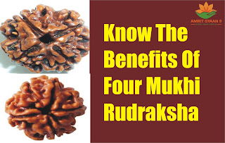 Know The Benefits of Four Mukhi Rudraksha