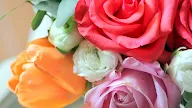 Buon Compleanno Fiori / Buon Compleanno Fiori Verdi - Biglietti Buon Compleanno ... : Biglietti di auguri di compleanno con i fiori frasi per.