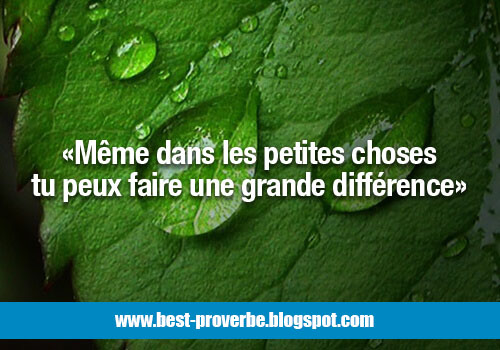 proverbe Pensées positives, Sagesse, 