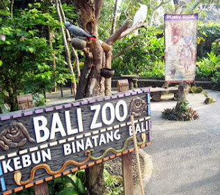 bali-zoo-park-wisata-kebun-binatang-safari-bali-denpasar