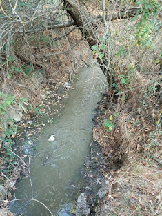 Foto: Ecologistas en Acción