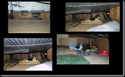 Pictures-002