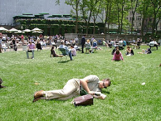 Frankie in Bryant Park