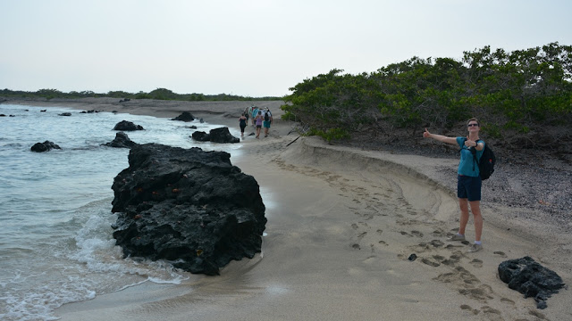 Urbina Bay Galapagos beach