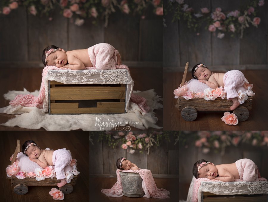 Geneva Family comes to Wigglebug Photography in DeKalb for Newborn girl session in lavender and pink