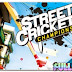 Download Street Cricket PC Game