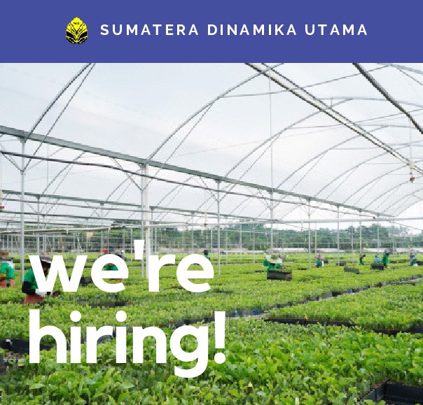 Lowongan Pekerjaan PT Sumatera Dinamika Utama Deadline 15 Desember 2015