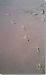 IMAG0099