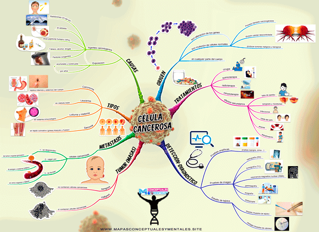 Mapa mental de la célula cancerosa, causas, tratamientos, origen
