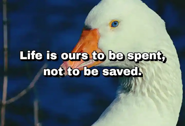 "Life is ours to be spent, not to be saved." ~ D. H. Lawrence