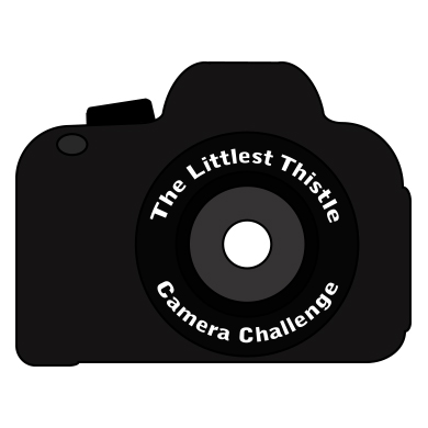 Littlest Thistle Camera Challenge 2015