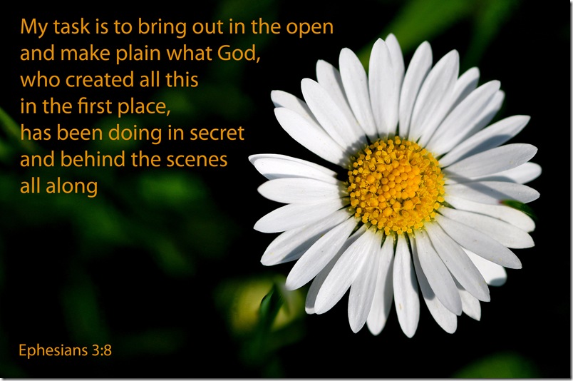 ephesians 3v8 daisy