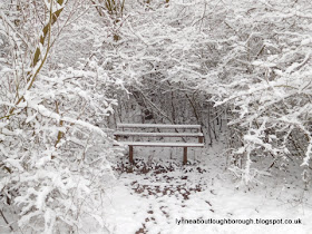 Snowy seat at Charnwood Water Loughborough