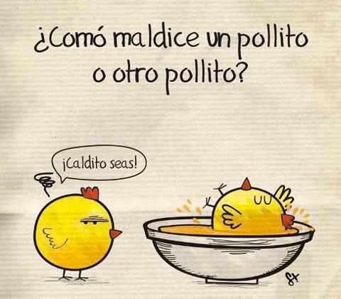 chiste- corto-CoMO MALDICE UN POLLITO A OTRO