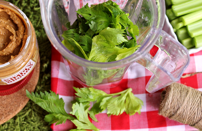 Homemade celery leaf juice.