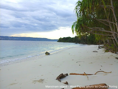 Snorkeling site in Manokwari