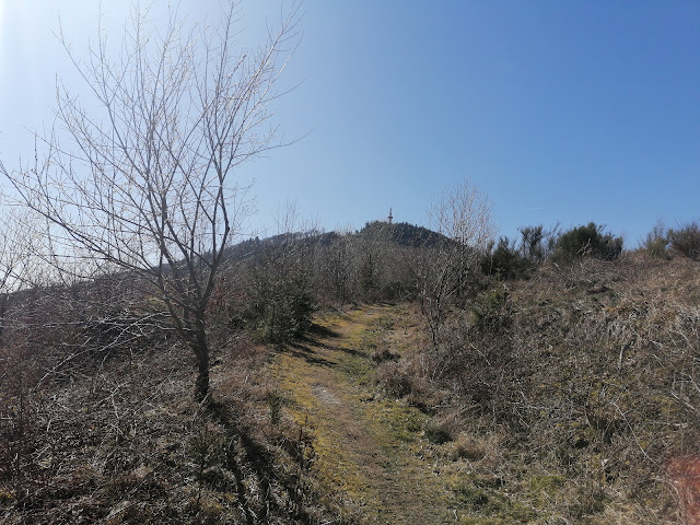 Sauerland wandern Wetter blog Bestwig Panoramaweg Schluchtengebirge