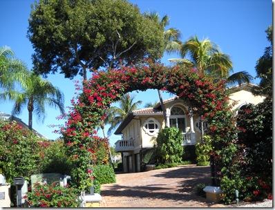 Ocean Reef Feb 2011 130