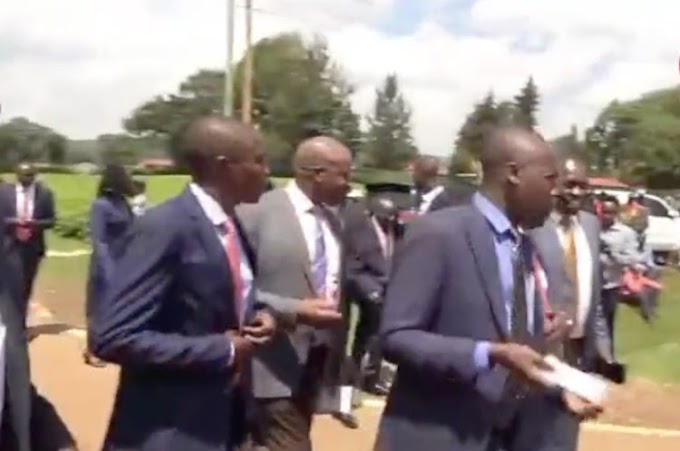 Kericho MCAs Walk Out of President William Ruto's Event in Display of Dissent