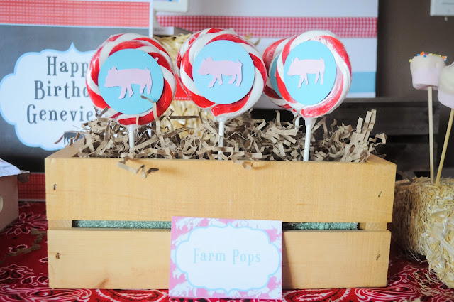 lollipops at a Charlotte's web birthday party or a Farm party