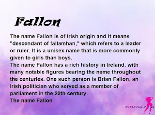 meaning of the name "Fallon"