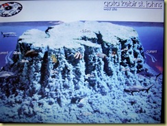 Gota Kebir Dive Plan