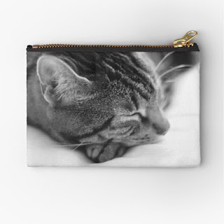 zipper pouch