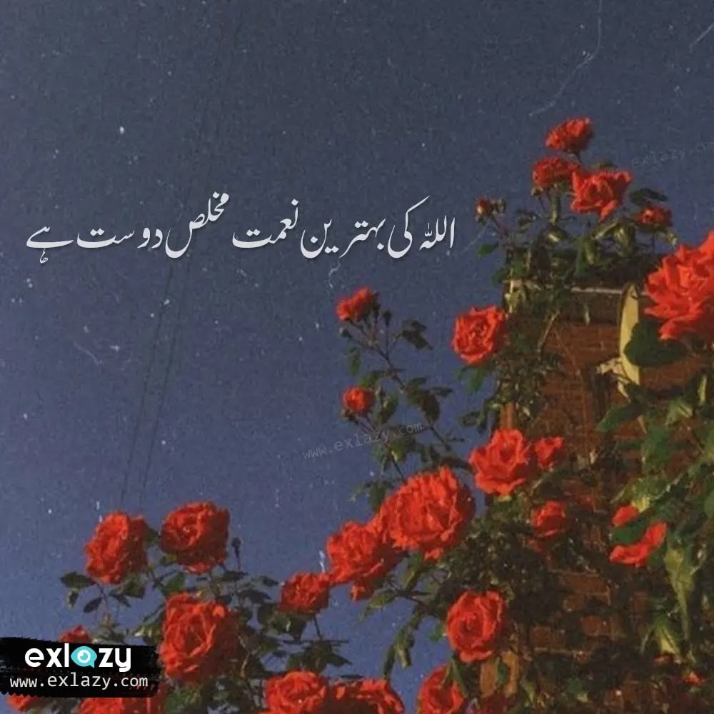 The Best 20 Friendship Quotes in Urdu - ExLazy