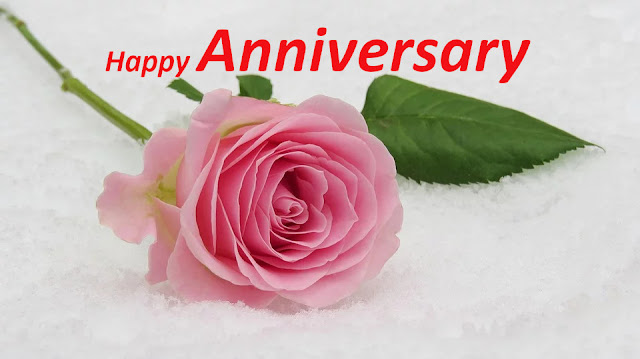 Wishes You Happy Marriage Anniversary