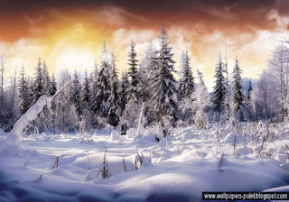 Winter Wonderland Wallpapers desktop