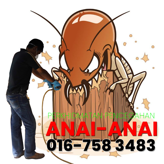 Servis Racun Anai-Anai - Johor Bahru