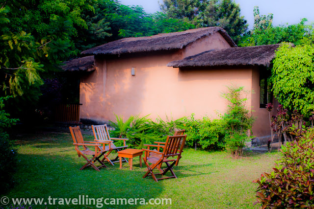 Here is another Photo Journey to Tarangi Resort in Jim Corbett National Park, where we stayed during recent trip to one tiger reserve with maximum number of tigers in India. Since most of us liked the cottages in this resort, I thought of sharing this Photo Journey...Here is a photograph of Cottage with one room and a sitting area attached to it. All the cottages are surrounded by colorful and variety of flowers/plants.There is very low density of cottages, which means more open space which is well utilized for farming or gardening. Path connecting these cottages is beautifully maintained with appropriate plants on both sides.Some of the cottages are facing Kosi river and having nice balconies to sit and enjoy the panoramic view of Kosi river with dense forest in background...Some of the cottages were facing play grounds or gardens. There are three playground near these cottages, which can be used for Cricket, Volleyball etc..Most of the furniture & lighting stuff is created in ethnic style and most of the stuff is taken care respectively..Nice seating arrangements around these cottages for morning/evening tea/snacks :Here is a photograph showing one of the cottage with nice lawn having seating arrangements @ Tarangi Resort, Jim Corbett National Park, Uttranchal, INDITarangii resort has huge area and most of that is open and very well maintained.This story is not any promotional stuff, but personal view expressed with photograph