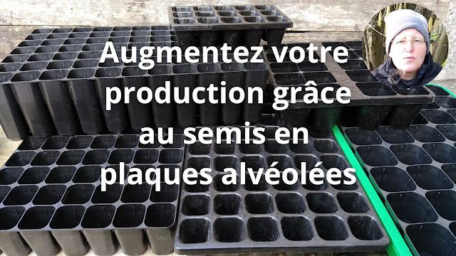 Comment maximiser votre rendement avec les semis en plaques alvéolées (vidéo)