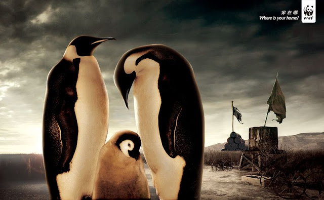 Awesome ads campaign from WWF picture