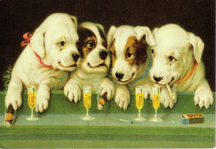 Old Postcard From Nederland Limited Edition Stamps Collection