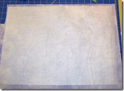 fusing_transfer1