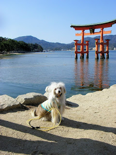 厳島神社